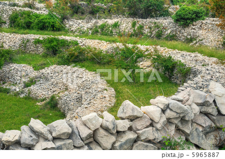 Sheep pasture, Rudine, Krk island, Croatia Sheep pasture, Rudine, Krk island, Croatia 5965887