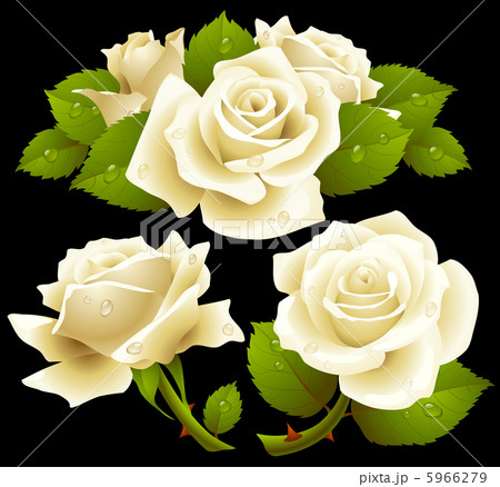 white rose set white rose set 5966279