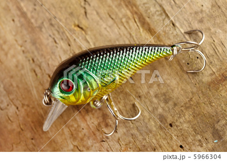lure 5966304