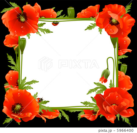 Poppy Floral Frame Poppy Floral Frame 5966400