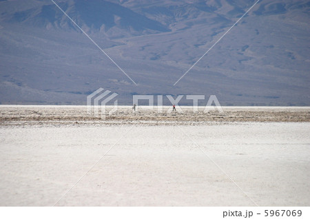 デスバレー国立デスバレー国立公園のバッドウォーター（塩湖）公園のバッドウォーター（塩湖） 5967069
