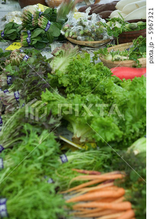 市場に並ぶ新鮮な野菜 市場に並ぶ新鮮な野菜 5967321