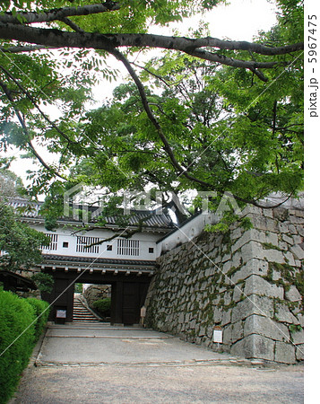 初秋の岡山城城郭(縦位置) 初秋の岡山城城郭(縦位置) 5967475