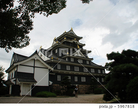 初秋の岡山城(横位置） 5967818