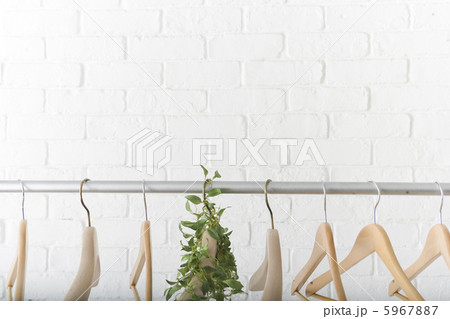 植物の絡まるハンガー 5967887