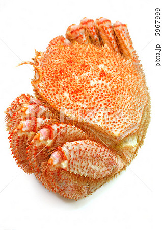 おいしい北海道産の毛ガニ おいしい北海道産の毛ガニ 5967999