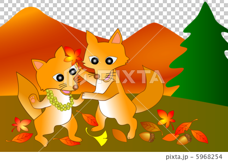 A fox pair 5968254