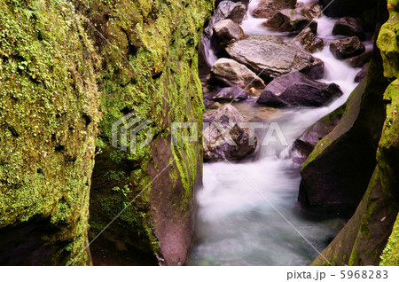 高千穂渓谷 高千穂渓谷 5968283