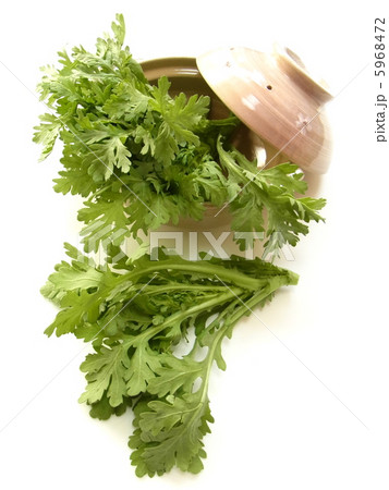 鍋料理の材料の春菊 5968472