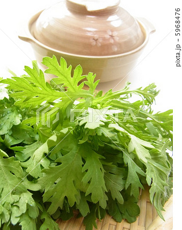 鍋料理の材料の春菊 5968476