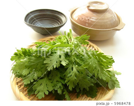 鍋料理の材料の春菊 5968478