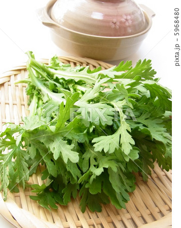 鍋料理の材料の春菊 5968480