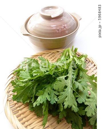 鍋料理の材料の春菊 5968483