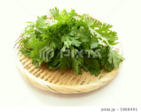春菊 5968491