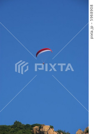 パラグライターが舞う快晴の青空 パラグライターが舞う快晴の青空 5968908