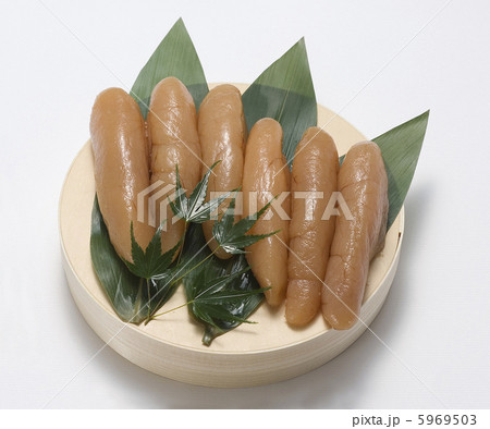 タラコ 5969503