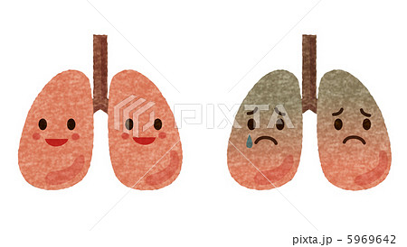 肺のイラスト素材