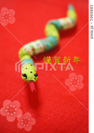 巳年年賀状 巳年年賀状 5969885