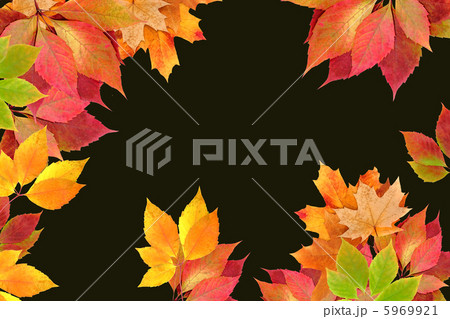 autumn leaves autumn leaves 5969921