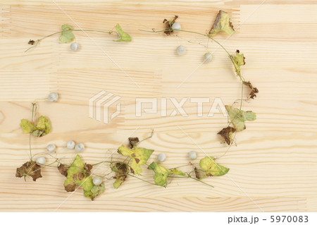 雀瓜でフレーム素材 5970083