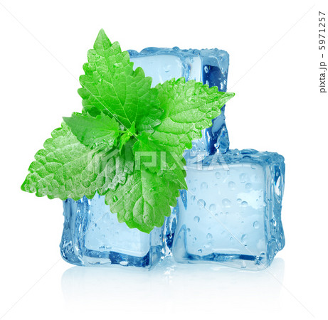 Ice cube and mint 5971257