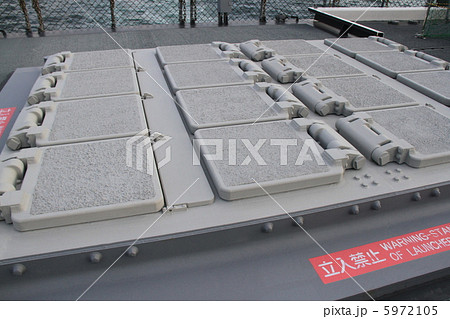 観艦式 観艦式 5972105