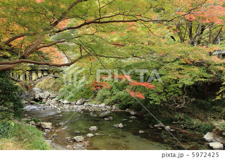 清流 清流 5972425