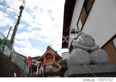 岩国の白蛇神社 5972732