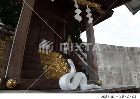 岩国の白蛇神社 5972733