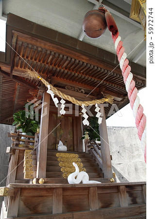 岩国の白蛇神社 5972744