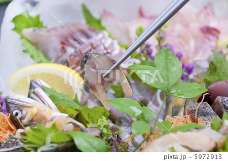 アユの背ごし 5972913