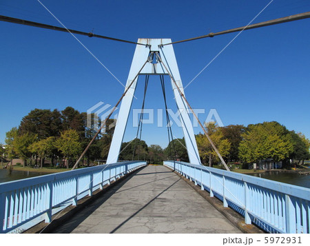 水元公園の水元大橋 5972931