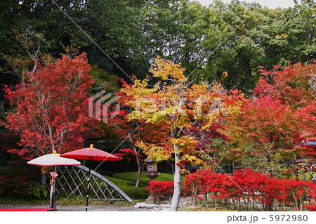 秋の日本昭和村 秋の日本昭和村 5972980