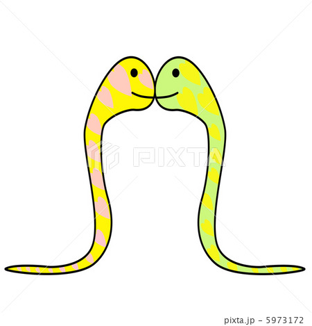 ２匹の蛇のイラスト 5973172
