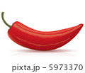 Vector Chili Pepper. Food Collection. 5973370