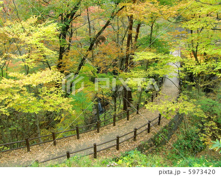 吾妻渓谷遊歩道 5973420