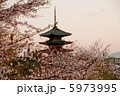 八坂の塔と桜 5973995