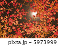 清水寺の紅葉 5973999