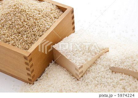 玄米と清米（白米） 5974224
