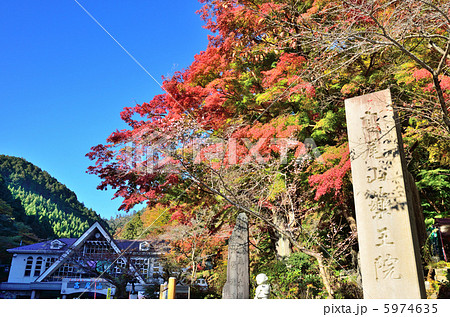 高尾山薬王院 5974635