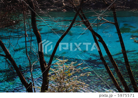 九寨溝の青い水 中国四川省 の写真素材