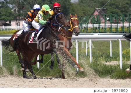Horse racing in Pyatigorsk,Caucasus. Horse racing in Pyatigorsk,Caucasus. 5975690