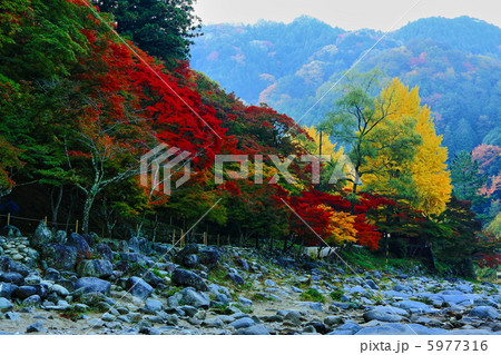 早朝の香嵐渓ーHDR 5977316