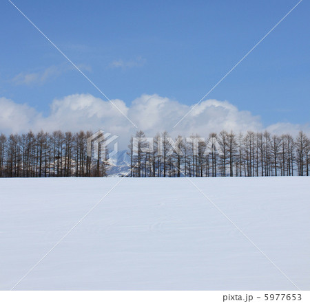 雪景色・中標津 5977653