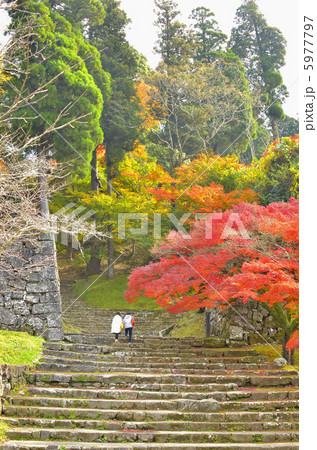 人吉城跡の紅葉 5977797