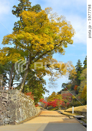 人吉城跡の紅葉 5977798