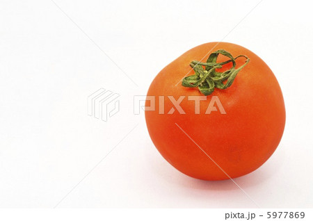 トマト 白バック 5977869