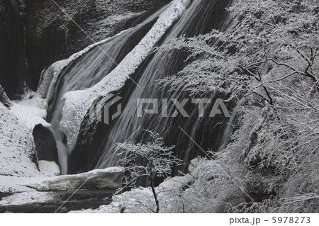 雪降る 袋田の滝 絶景 吊橋付近から望む 雪降る 袋田の滝 絶景 吊橋付近から望む 5978273