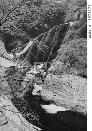 雪降る　袋田の滝　絶景　吊橋付近から望む 5978275