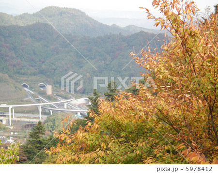 紅葉　高尾山 5978412